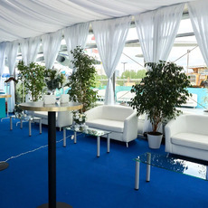 Фикус живой в напольном горшке - Прокат туристического оборудования