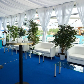 Фикус живой в напольном горшке - Прокат ивент оборудования